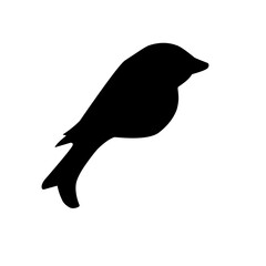 Bird Silhouette