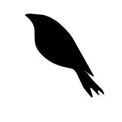Bird Silhouette