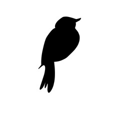 Bird Silhouette