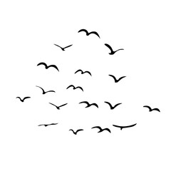 A Flock of Bird Silhouette