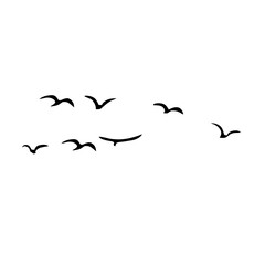 Fototapeta premium A Flock of Bird Silhouette