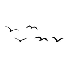 A Flock of Bird Silhouette