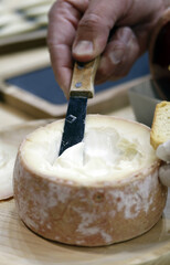 queso cremoso artesanal tradicional de España