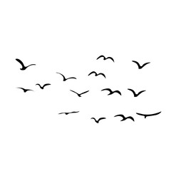 A Flock of Bird Silhouette