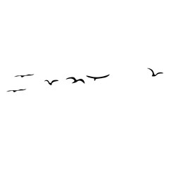 A Flock of Bird Silhouette