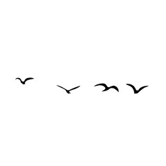 A Flock of Bird Silhouette