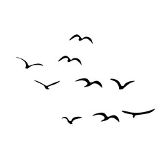 Fototapeta premium A Flock of Bird Silhouette
