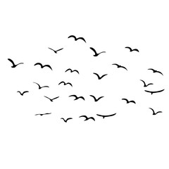 A Flock of Bird Silhouette