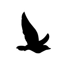 Flying Bird Silhouette
