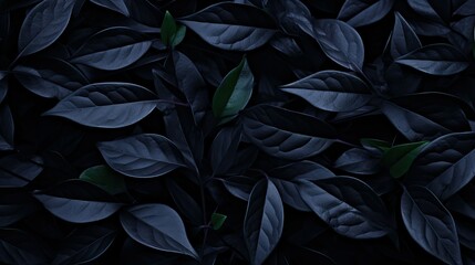foliage dark leaves background
