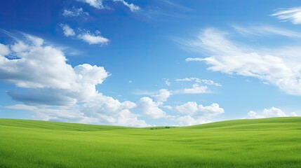 Fototapeta premium calm empty nature background