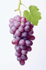 close up of a grape with grape leaves isolated on a white background