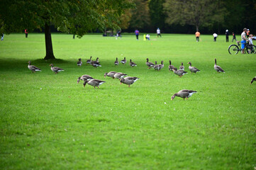 English Garden in Munich