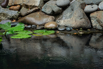 Estanque artificial con rocas y agua