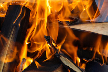 Rozpalone bezpieczne ognisko palące się pięknymi czerwonymi płomieniami - obrazy, fototapety, plakaty