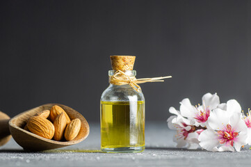 Glass bottle of Almond oil and almond nuts , almonds with almond tree flowers on table. Almond background concept with copy space