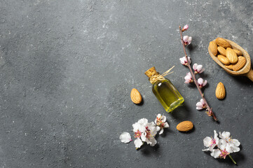 Glass bottle of Almond oil and almond nuts , almonds with almond tree flowers on table. Almond background concept with copy space