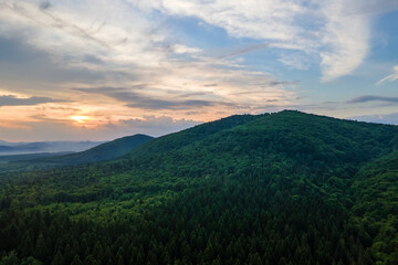 Fototapeta premium Aerial view of green pine forest with dark spruce trees covering mountain hills at sunset. Nothern woodland scenery from above