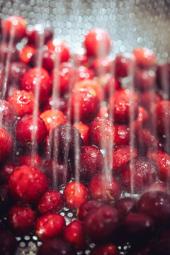 Cranberries being rinsed in a sink