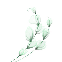 Flowers background illustration art watercolor print art