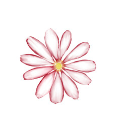 Flowers background illustration art watercolor print art