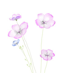 Flowers background illustration art watercolor print art