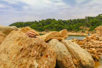 Sandy beaches on the island of Rab in Croatia