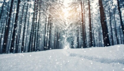 low angle winter forest landscape blurry background with snow trees and snowfall