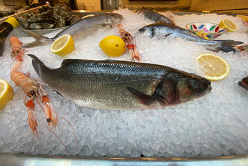 Aliment /poisson frais