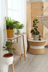 Interior of living room with green plants and tables