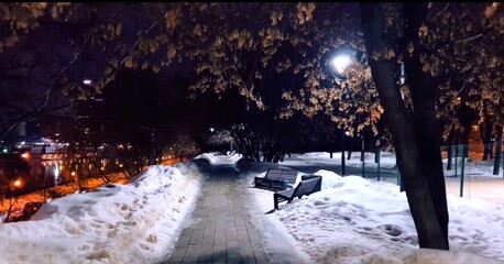 Snowy walkway and benches in a winter city park at night.