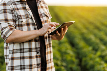 Modern agribusiness. Unrecognisable male farmer uses digital tablet for analyse, checks soybeans...