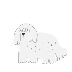 The dog and white hair 