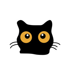 The big eyes on cat face