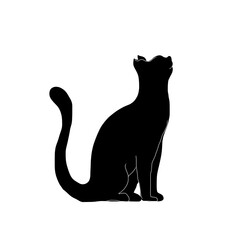 The black cat silhouette