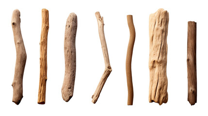 Fototapeta premium Collection Set Of Driftwood Isolated on Transparent Background, (PNG).