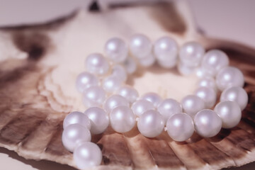 elegant women's necklace made of natural white pearls on shells close-up