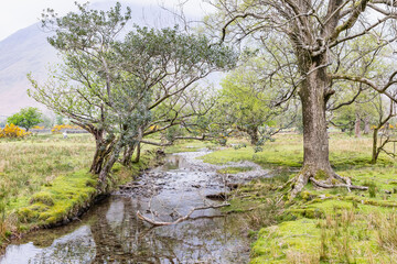 A small stream in Lake District National Park.