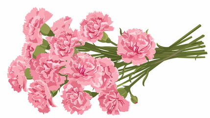 A bouquet of pink carnation of Mothers Day. isolated