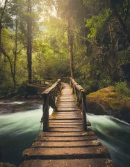 Foto auf Alu-Dibond bridge in the forest © Fabian