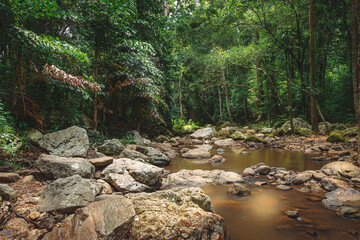 Small river in the jungle with large stones along the river