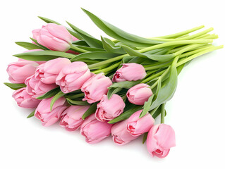 bouquet of pink tulips isolated on white background. spring flowers. mothers day concept