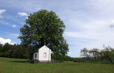 Kapelle Herrin der Berge bei Heimbuchenthal