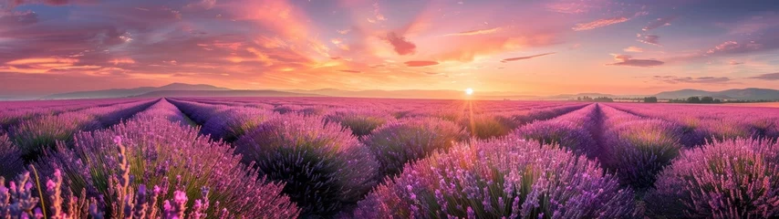 Poster Sunrise over blooming fields of lavender. Lavender purple field  © YauheniyaA