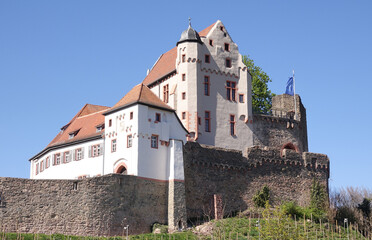 Fototapeta na wymiar Burg Alzenau