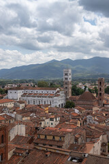 Panoramic view of ancient Italian city Lucca - obrazy, fototapety, plakaty