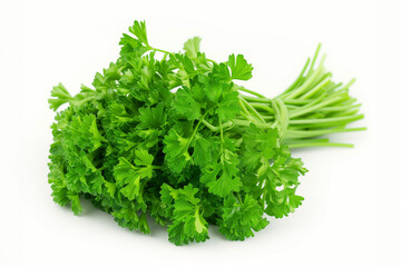 Fototapeta premium Fresh parsley isolated on white background