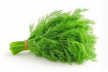 A vibrant green bunch of fresh dill tied with a rubber band, displayed on a clean white background, perfect for cooking or garnishing.  

