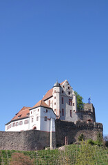 Fototapeta na wymiar Burg Alzenau
