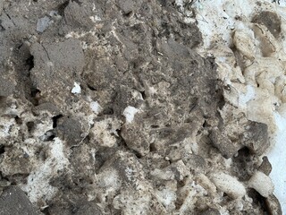 Melting dirty snow on the streets of the city during the daytime in winter. Snow with sand and mud lies on the road
